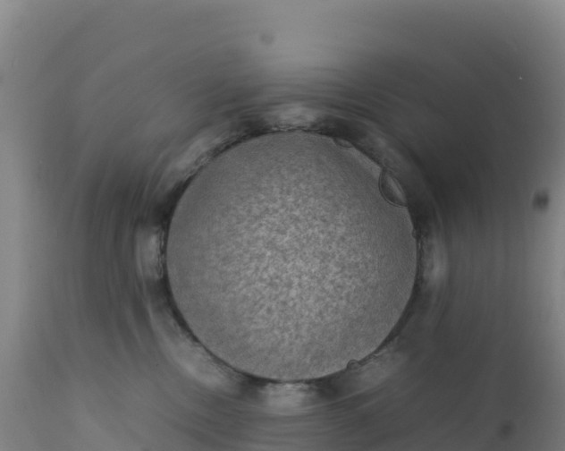 X0000112400378200908281756
