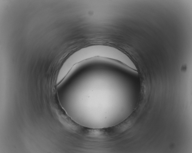 X0000112400380200908281756