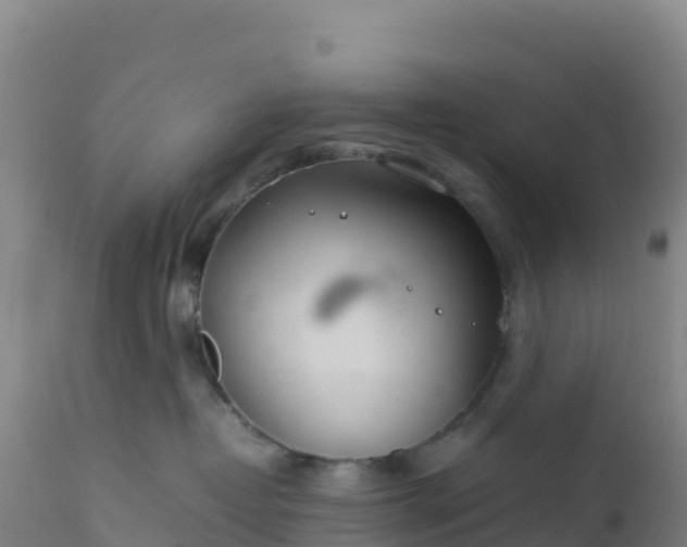 X0000112400382200908281756