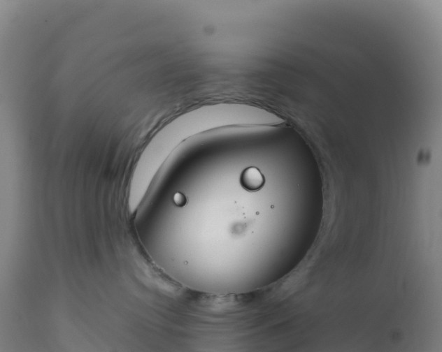X0000112400384200908281756