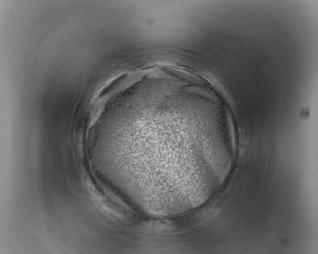X0000112400386200908281756