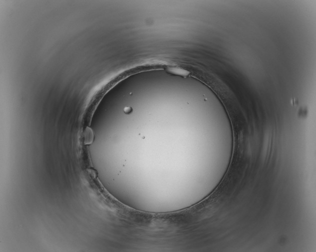 X0000112400388200908281756