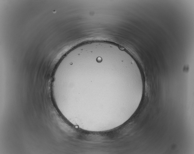 X0000112400389200908281756