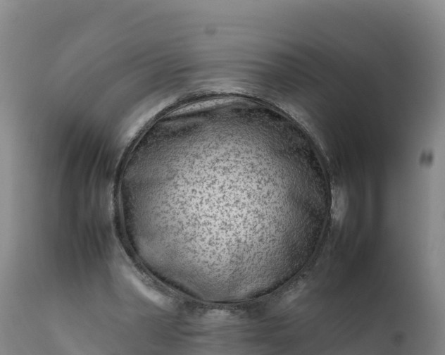 X0000112400390200908281756