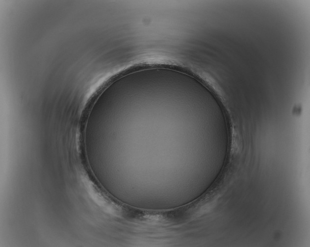 X0000112400391200908281756
