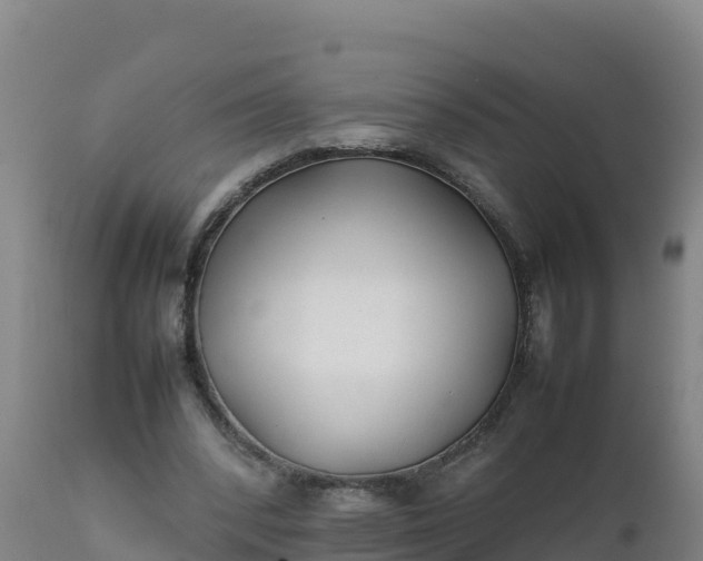 X0000112400392200908281756