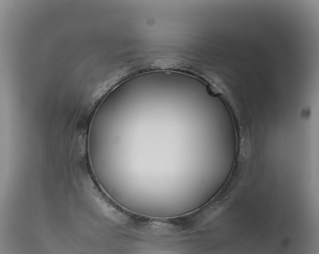 X0000112400393200908281756