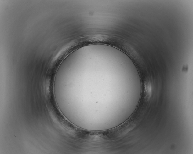 X0000112400396200908281755