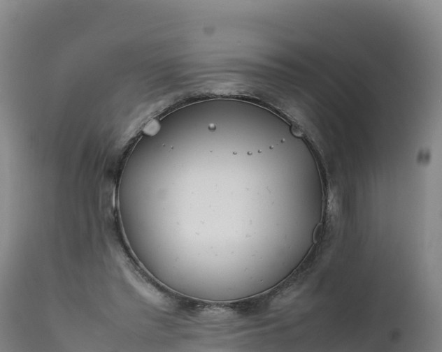 X0000112400397200908281755