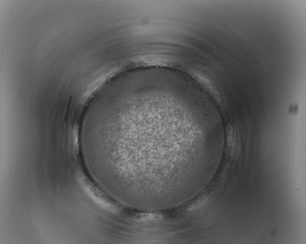 X0000112400398200908281755