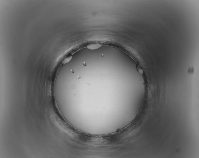 X0000112400399200908281755