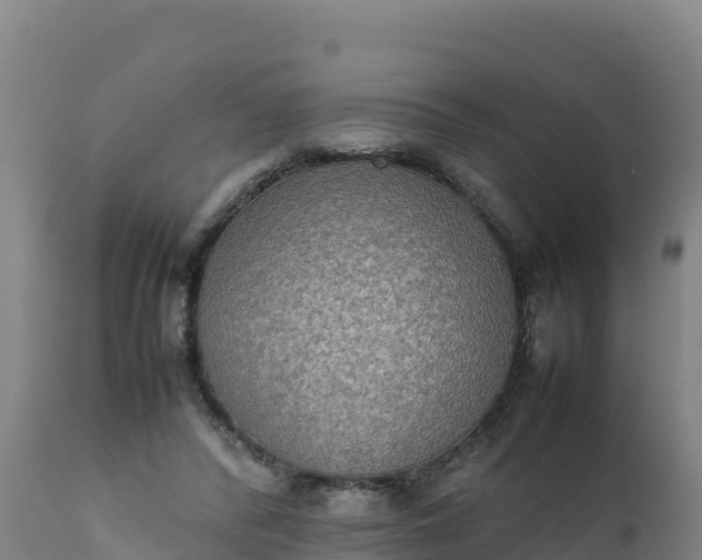 X0000112400400200908281755