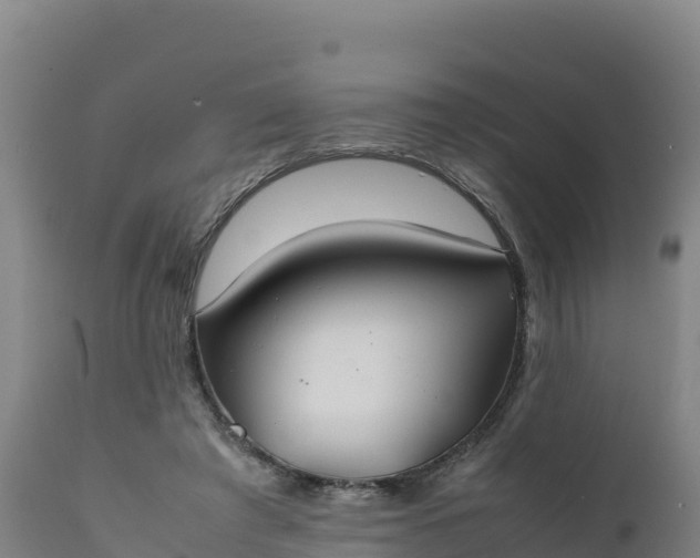 X0000112400401200908281755