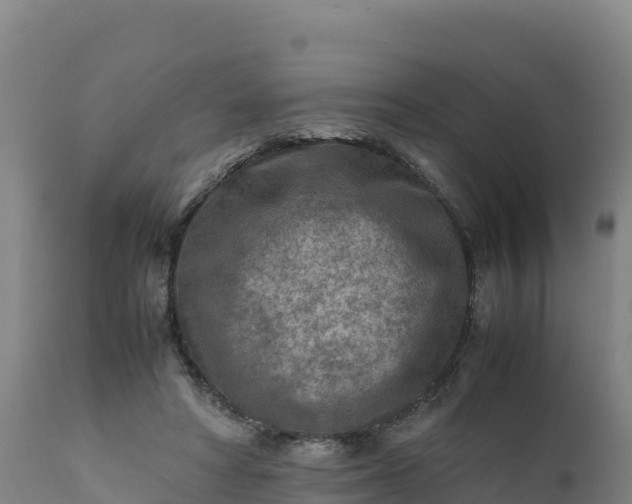 X0000112400402200908281755