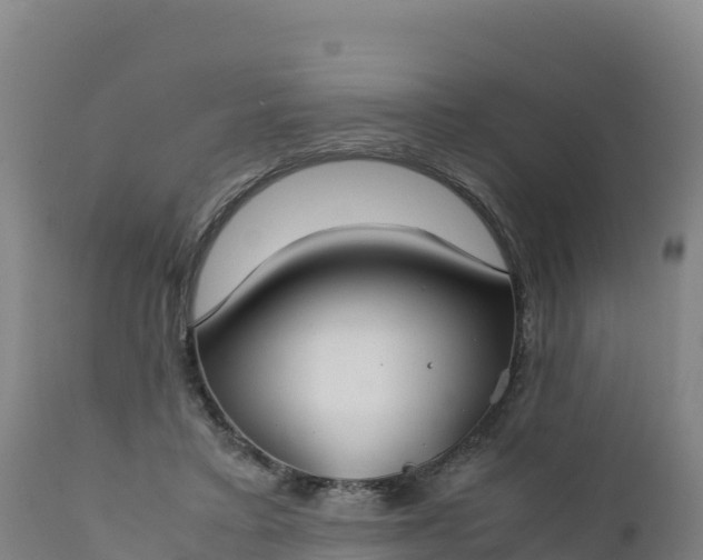 X0000112400403200908281755