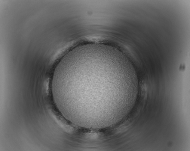 X0000112400404200908281755