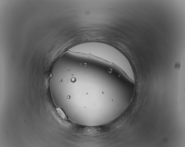 X0000112400405200908281755