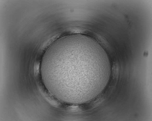 X0000112400406200908281755