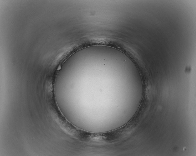 X0000112400407200908281755