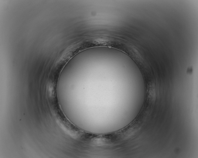 X0000112400408200908281755