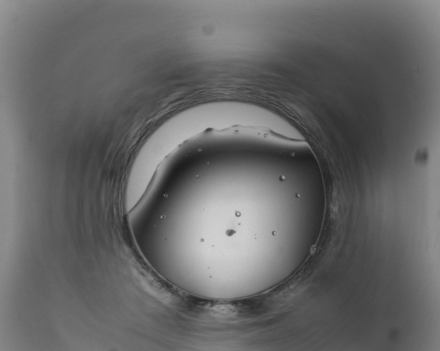 X0000112400409200908281755