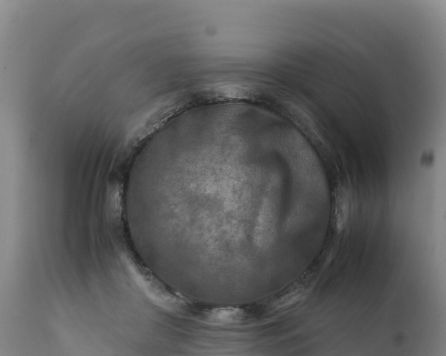 X0000112400410200908281755