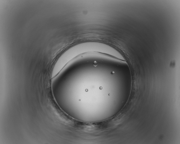 X0000112400411200908281755