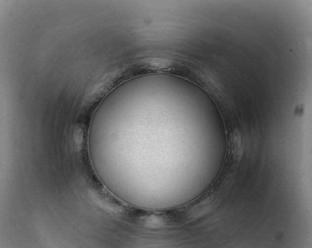 X0000112400412200908281755