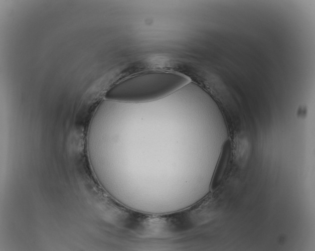 X0000112400413200908281755