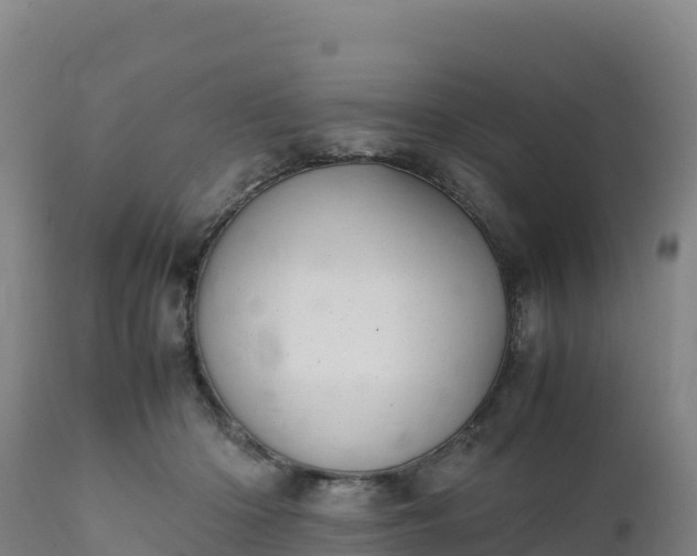 X0000112400414200908281755