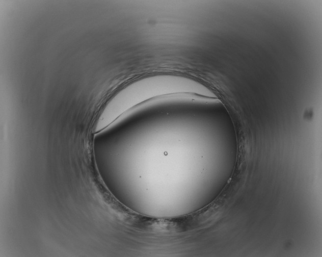 X0000112400415200908281755