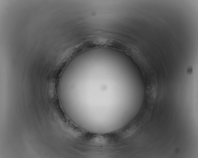X0000112400416200908281755