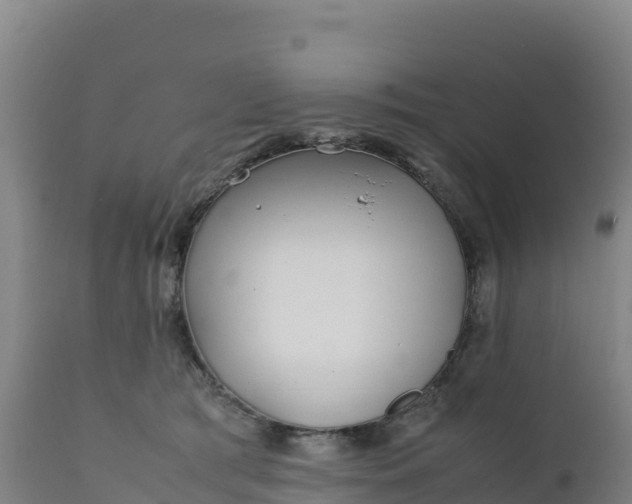 X0000112400417200908281755