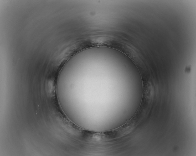 X0000112400420200908281755