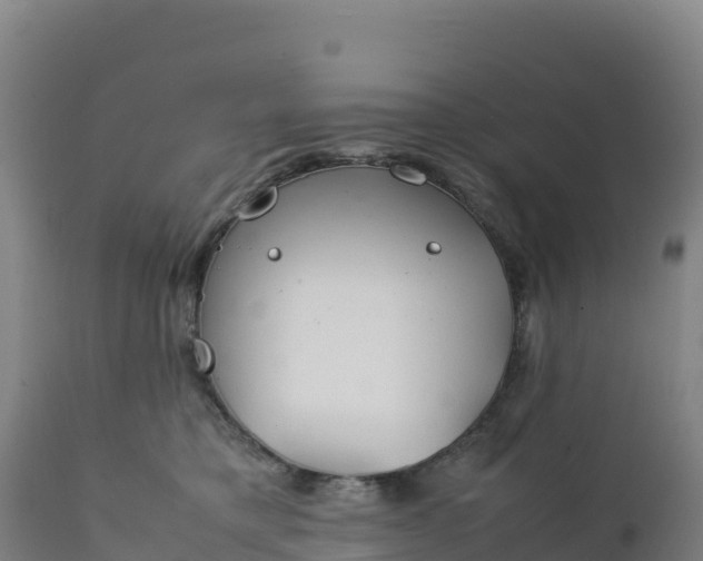 X0000112400421200908281755