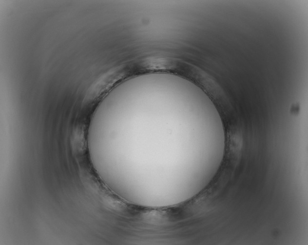 X0000112400422200908281755