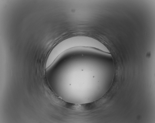 X0000112400425200908281755