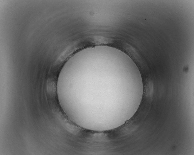 X0000112400426200908281755