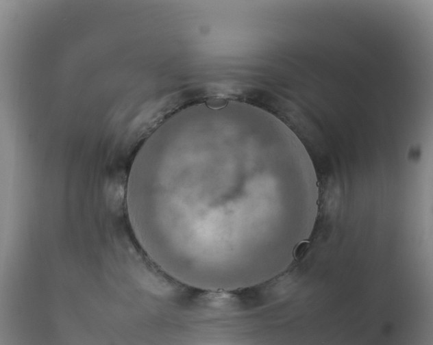 X0000112400427200908281755