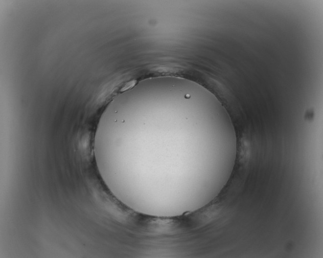X0000112400428200908281755
