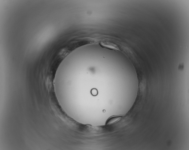 X0000112400429200908281755
