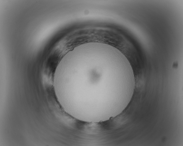 X0000112400431200908281755