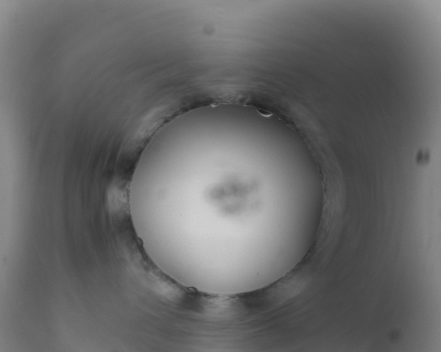 X0000112400432200908281755
