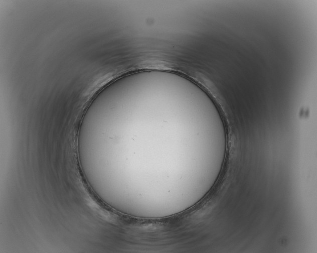 X0000112400433200908281754
