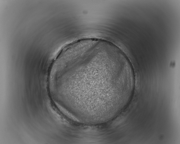 X0000112400434200908281754