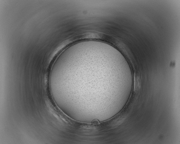 X0000112400435200908281754