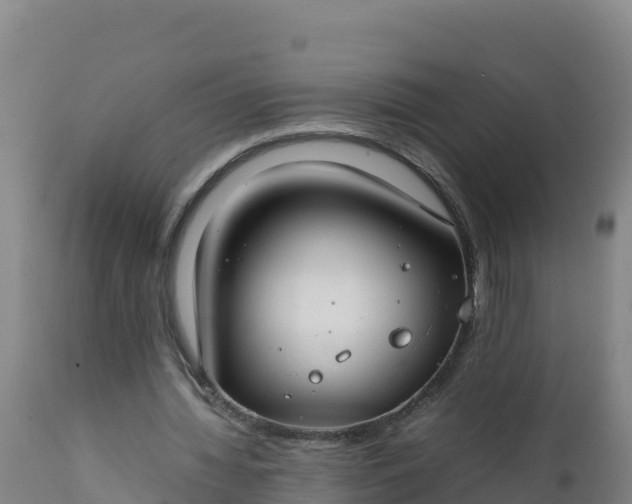 X0000112400436200908281754