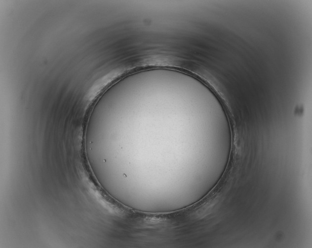 X0000112400437200908281754