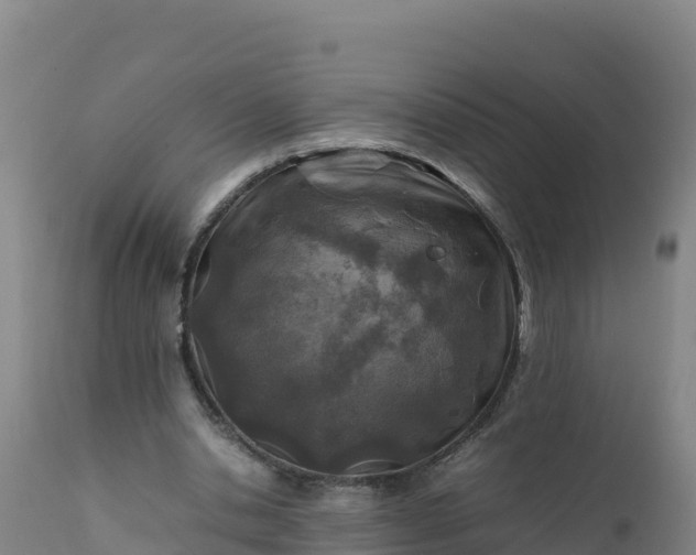 X0000112400438200908281754