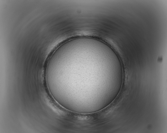 X0000112400439200908281754